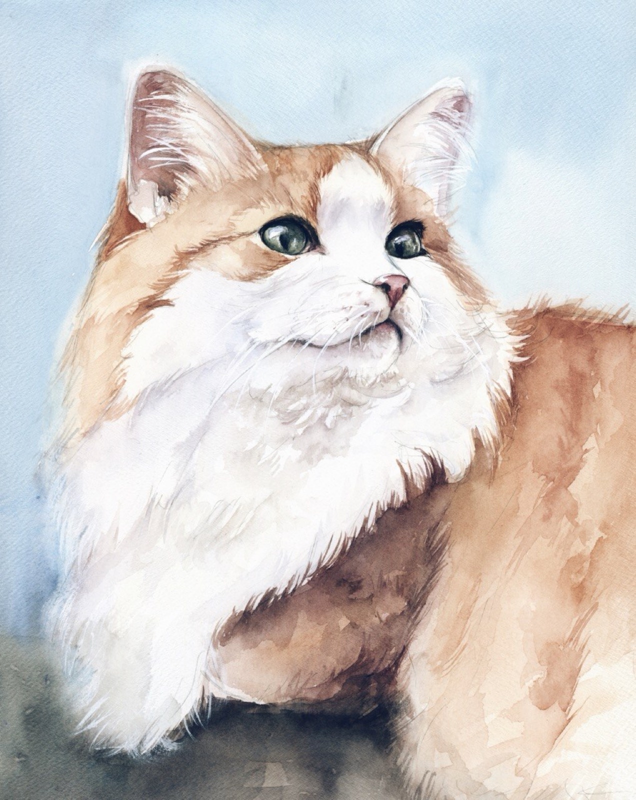 Watercolor portrait of a fluffy ginger-and-white cat with green eyes
